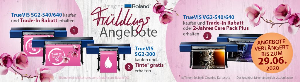 Frühlings-Angebote